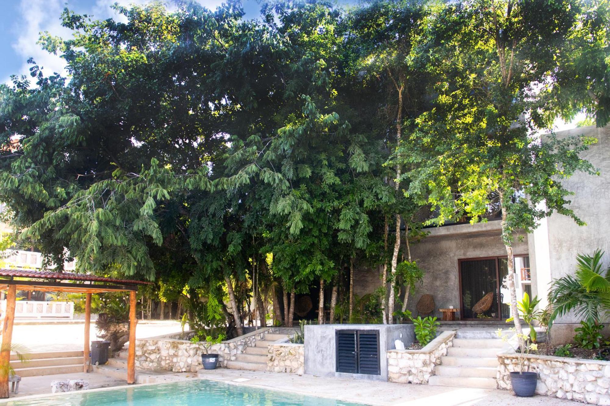 Hotel Casa Tortuga Tulum - Cenotes Park Inclusive Экстерьер фото Casa Periódica, Mérida, Yucatán, Mexico