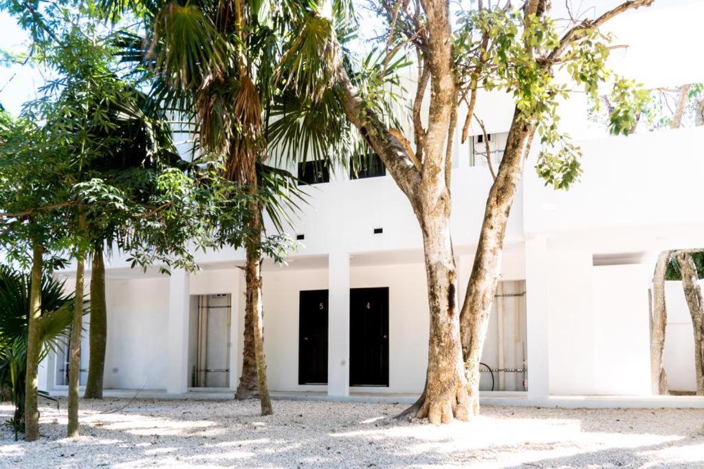 Hotel Casa Tortuga Tulum - Cenotes Park Inclusive Экстерьер фото The house of the writer, in Mérida, Yucatán.